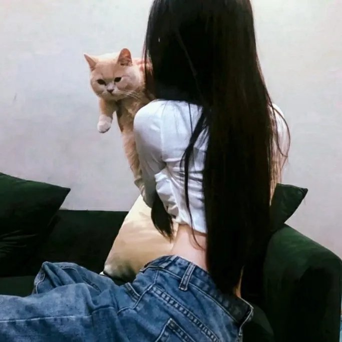 威龙杀阵